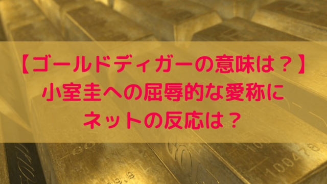 ゴールドディガー 小室圭への屈辱的な愛称にネットの反応は 意味は ひまわりさんさんブログ